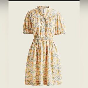 J Crew Liberty Floral Elysian print dress